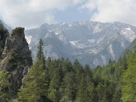 DSC00510.jpg